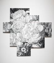 Maggie  Shafran The past cannot be trapped that way_ Maggie Shafran_ floral pencil and charcoal drawing_ stitched at Donna Seager Fine Arts_ San Rafael in the San Francisco Bay Area