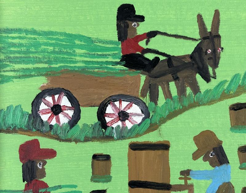 Hauling freshly cut sugarcane to the press