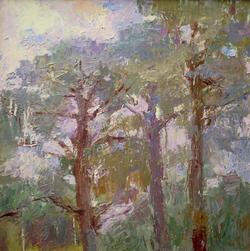 Hilda Neily - Landscapes 