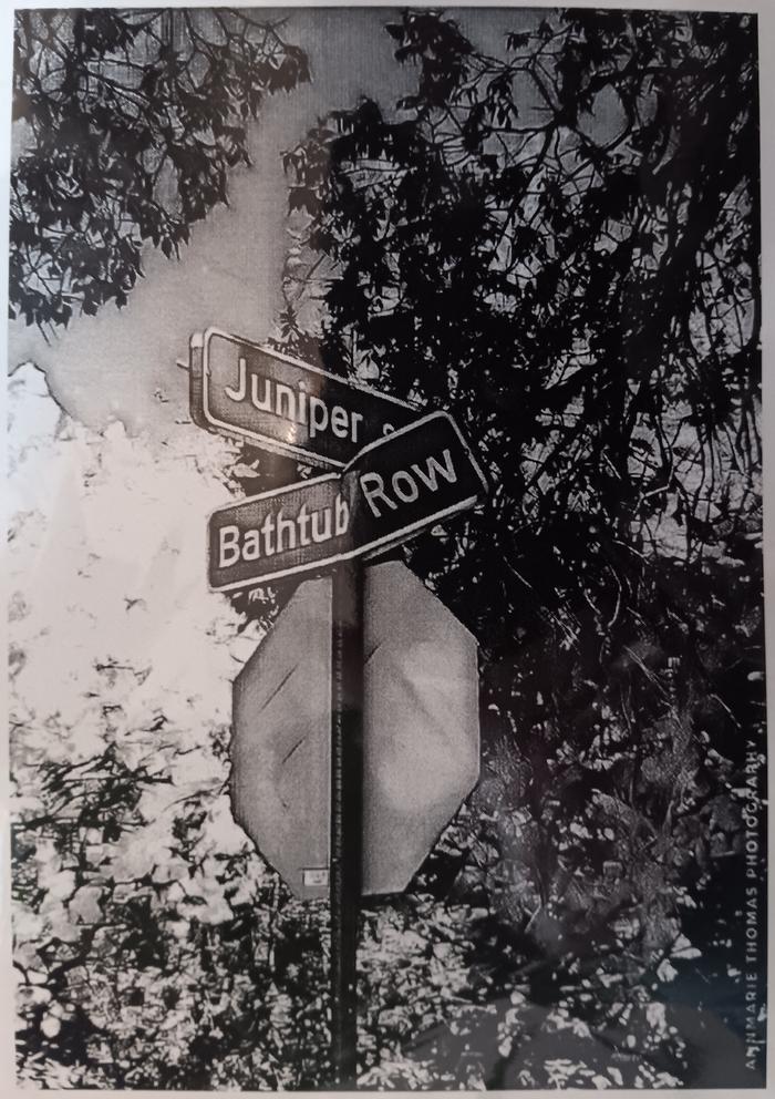 Bathtub Row - Annmarie Thomas