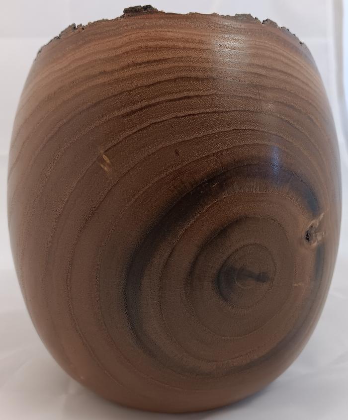 Desert Willow 12_525 05 - Phil Norton