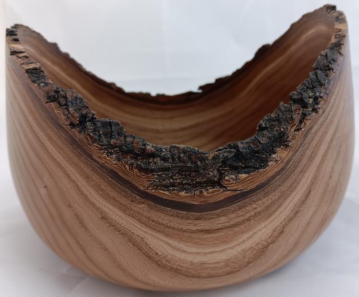 Desert Willow Bowl 2024-02 - Phil Norton