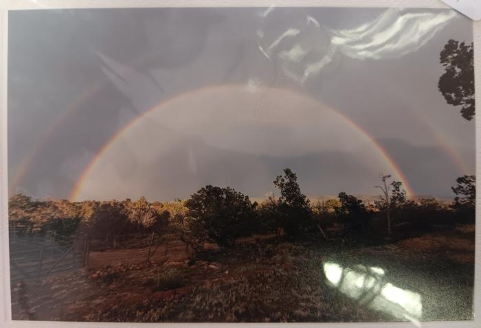 Double Rainbow - Jeanne Bowles