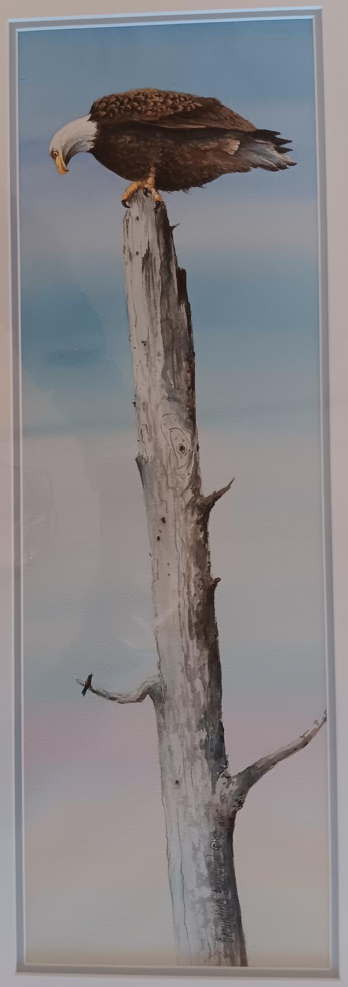 Eagle on Tree - Secundino Sandoval