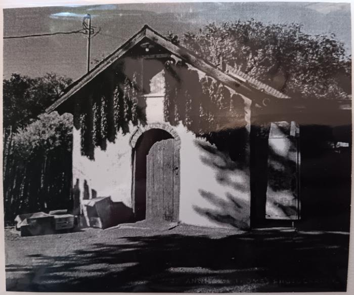 Ristras in Autumn - Annmarie Thomas