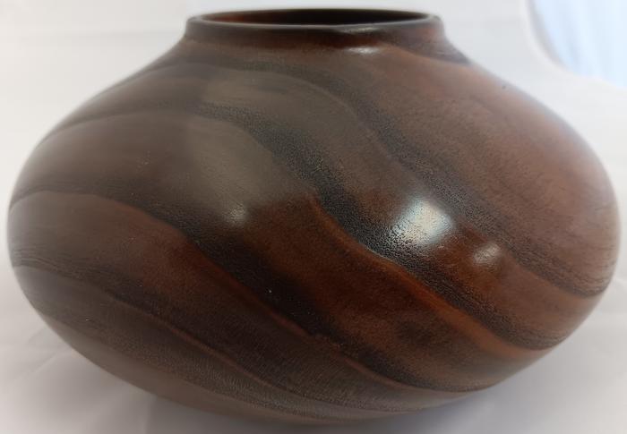 Russian Olive 12_5_25 03 - Phil Norton