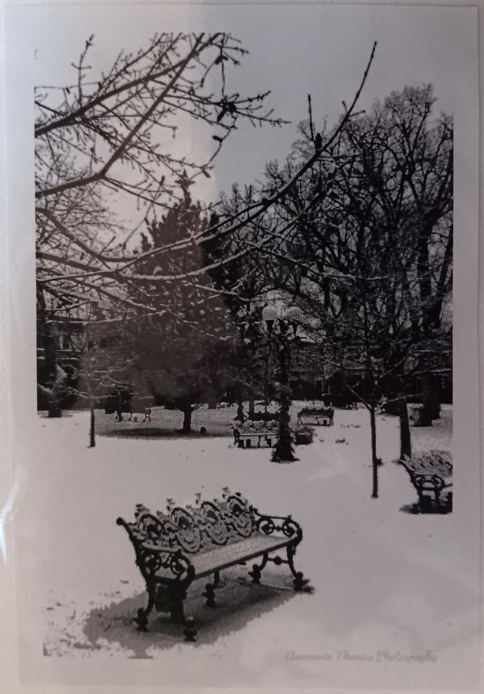 Santa Fe Plaza - Annmarie Thomas