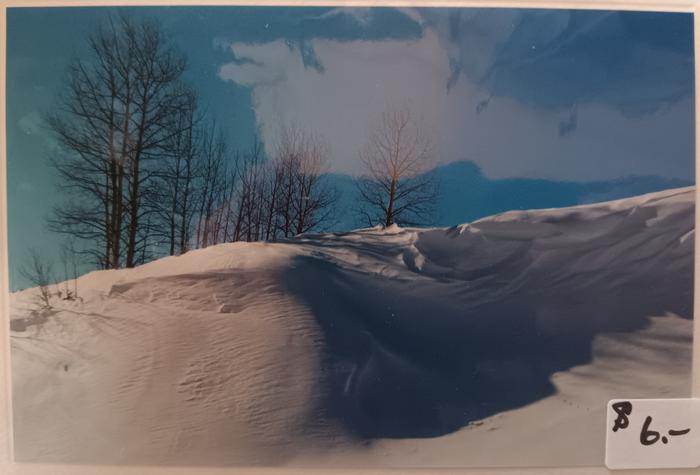 Snowy Hill - Jeanne Bowles