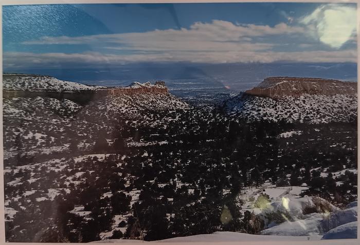 Snowy Mesa 2 - Jeanne Bowles