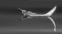Arthur Larsen Adrift (Feather)