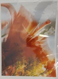 Arthur Larsen Abstract One (Lily)