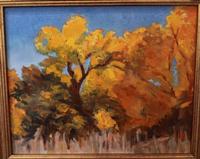 Jaye Buros Magnificent New Mexico