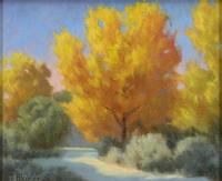 Tom Blazier Bosque Brilliance