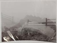 Arthur Larsen Broken Fence