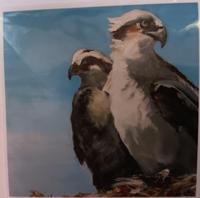 Margaret Devenney McIntyre GC-Cochiti Osprey