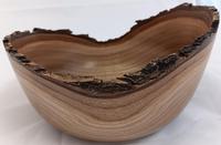 Phil Norton Desert Willow 12_5_25 04