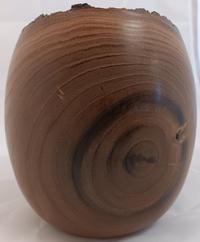 Phil Norton Desert Willow 12_525 05