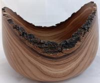 Phil Norton Desert Willow Bowl 2024-02