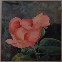 Margaret Devenney McIntyre GC-Double Delight