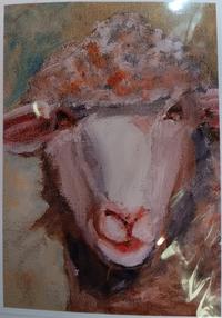 Margaret Devenney McIntyre Feeling Sheepish