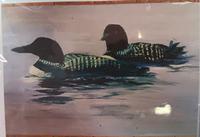 Margaret Devenney McIntyre Loons at Echo Lake
