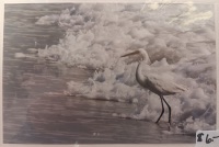 Jeanne Bowles Waiting Bird