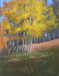 Tom Blazier High Country Aspen