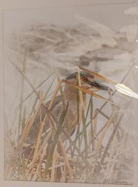 Arthur Larsen Hidden Heron-2022