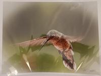 Arthur Larsen Hovering