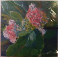 Margaret Devenney McIntyre GC-Milk Weed