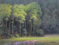 Tom Blazier Near Season_s End