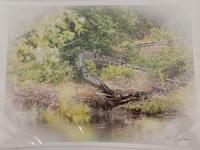 Arthur Larsen Once Afloat (Boat)