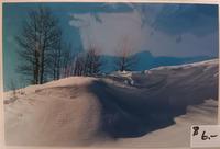 Jeanne Bowles Snowy Hill