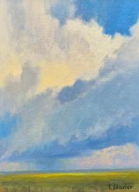 Tom Blazier The Rain Maker