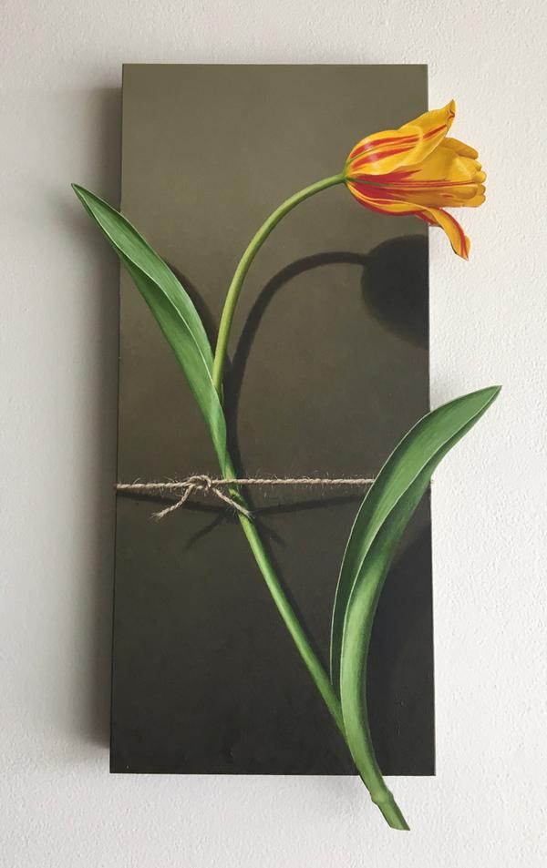 Nature Bound - Red and Yellow Tulip - Otto Duecker