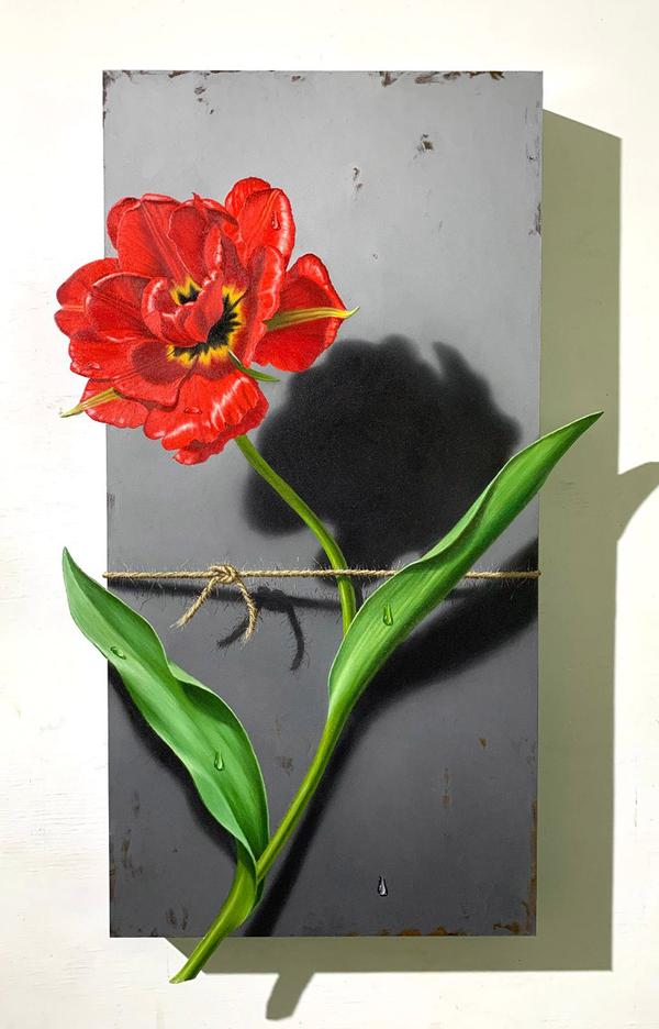Nature Bound_ Red Tulip - Otto Duecker