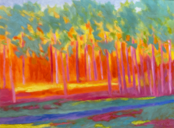 Parkside Trail - Marshall Noice