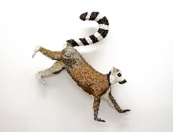 Shawn  Smith - Ringtail