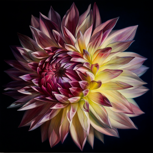 Dennis  Wojtkiewicz - Dahlia Series _20