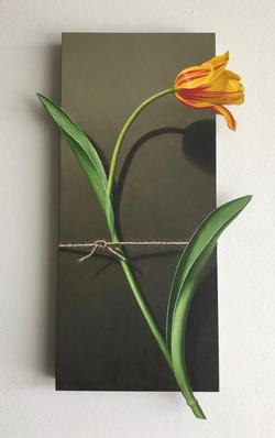 Otto Duecker Nature Bound - Red and Yellow Tulip