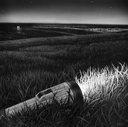 Illumination II