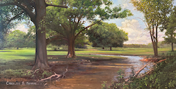 Summer Creek