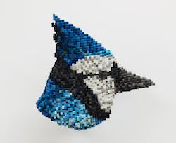 Shawn  Smith Blue Jay