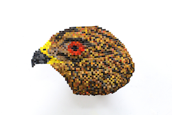 Shawn  Smith Red Shouldered Hawk