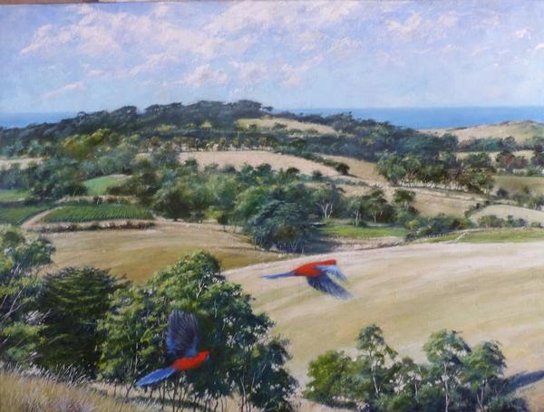 Rolling Hills_ Philip Adams Artist _ Manyung Gallery - Philip Adams