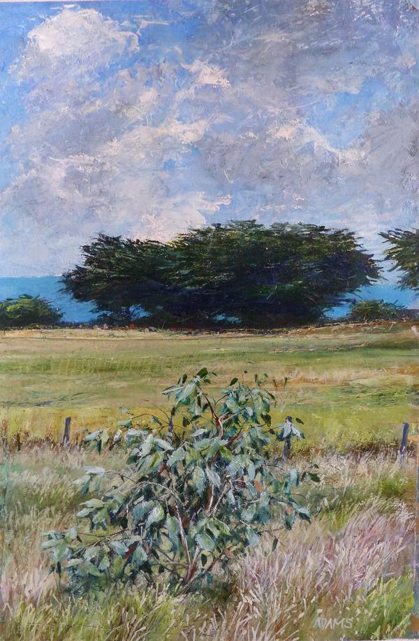 Sapling and Cypress - Philip Adams