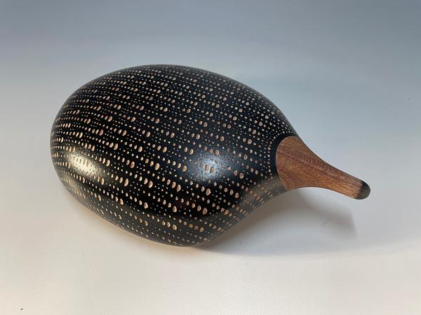 The Echidna - Ian Bell