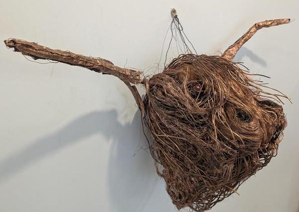 Bulls Head - Felicity Cavanough