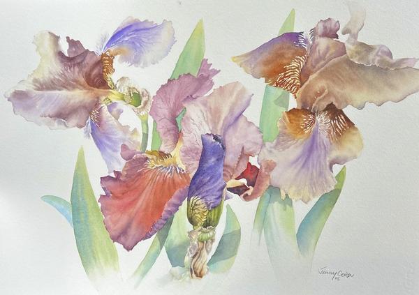  - Jenny Coker