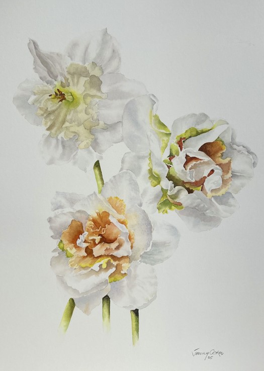 Narcissus 2 - Jenny Coker